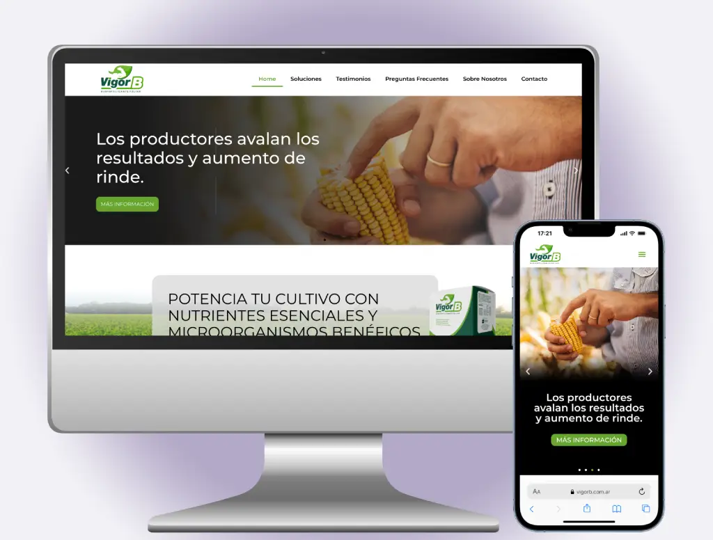Desarrollo web corporativo para empresas e instituciones